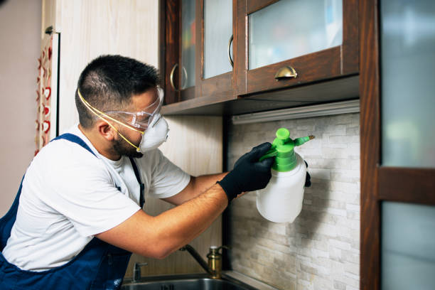 Best Pest Removal Services  in Atkins, AR