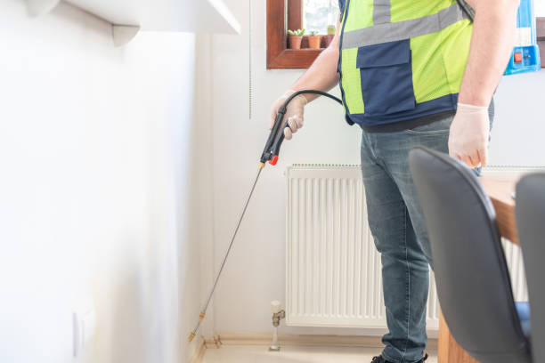 Best Flea Control Services  in Atkins, AR
