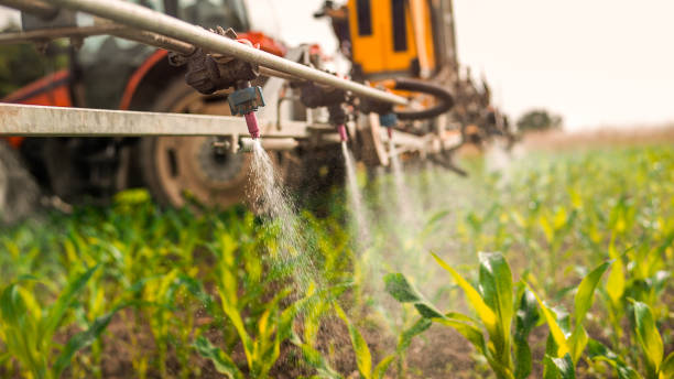 Best Commercial Pest Control Services  in Atkins, AR